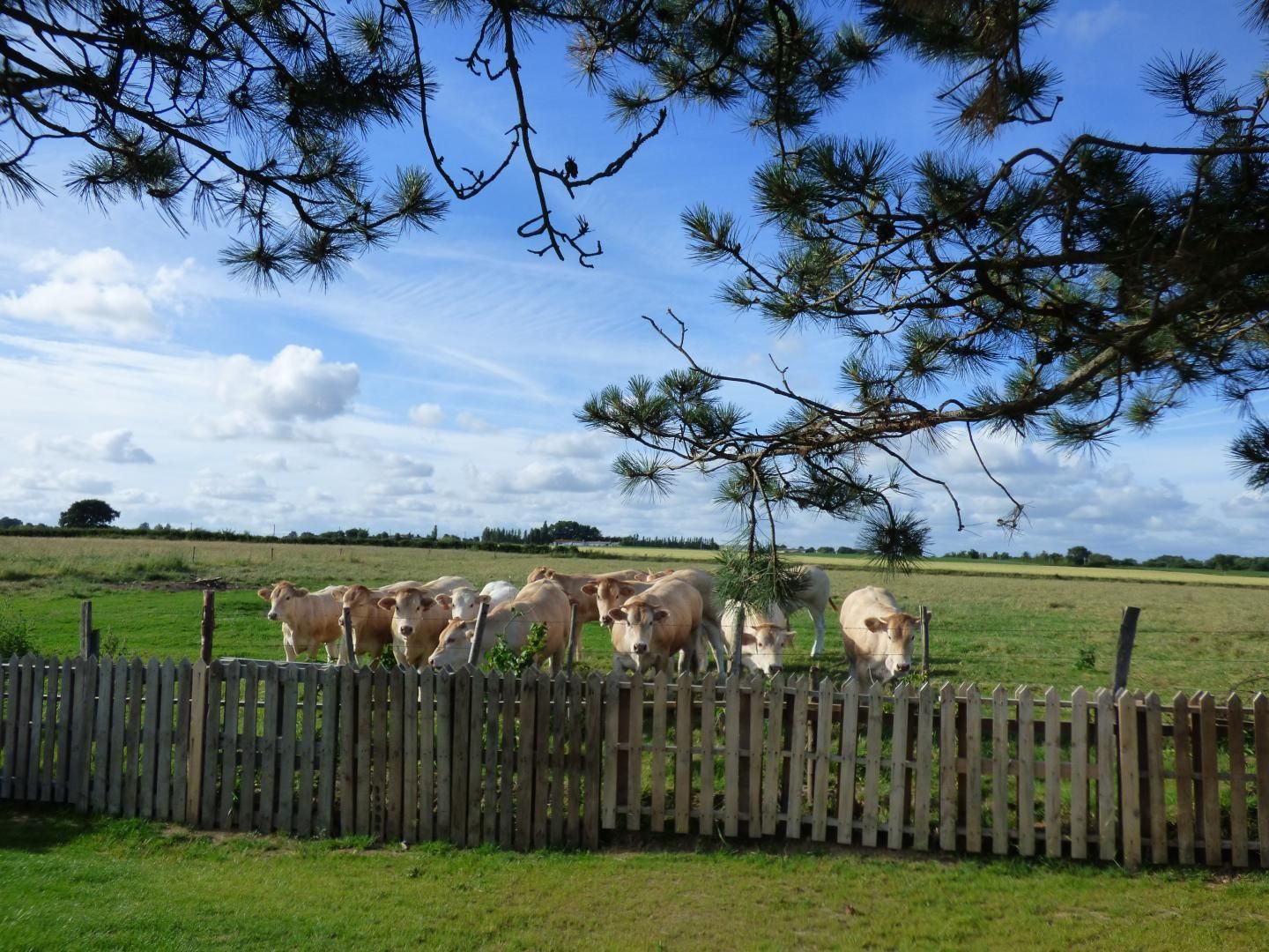 gite campagne vendée