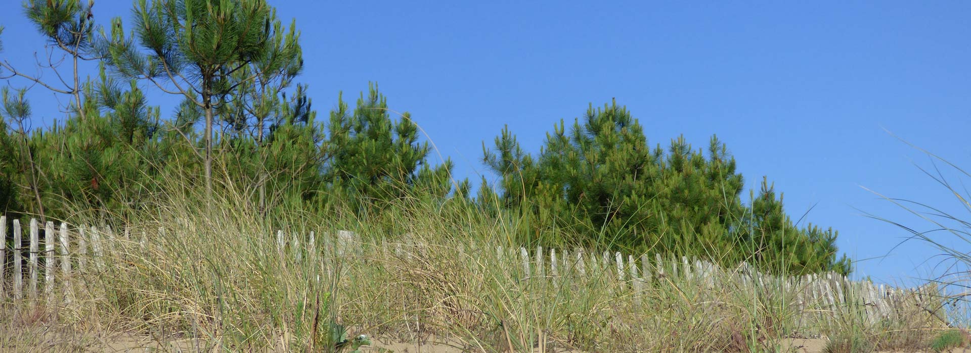 plage de vendée